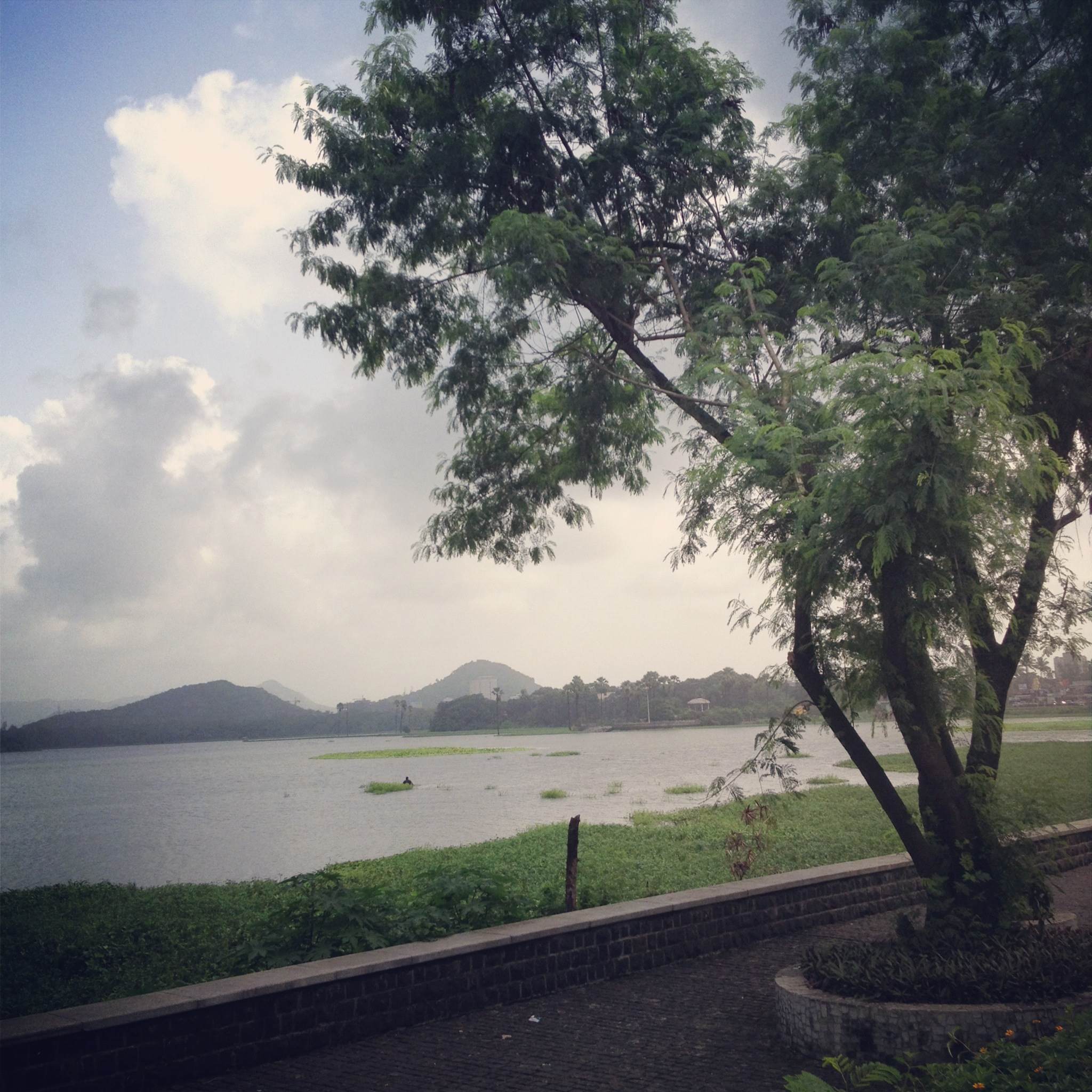 Powai Lake